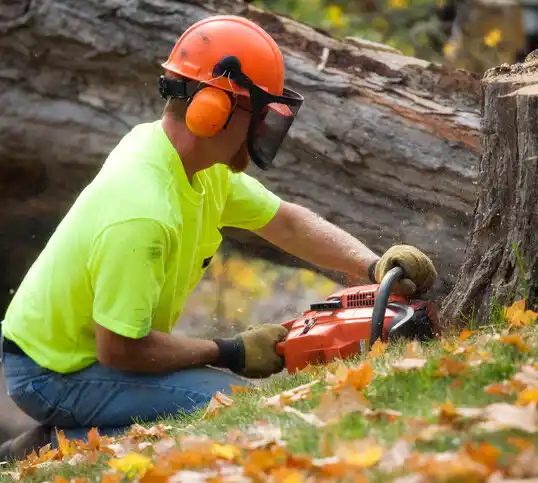 tree services Charleston